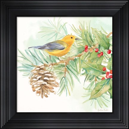 Framed Winter Birds I Warbler Print
