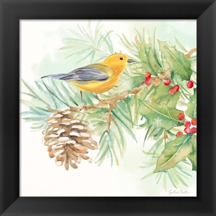 Framed Winter Birds I Warbler Print