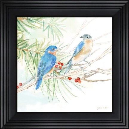 Framed Winter Birds III Bluebirds Print