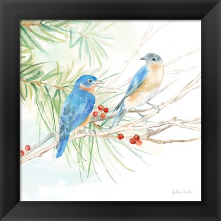 Framed Winter Birds III Bluebirds Print