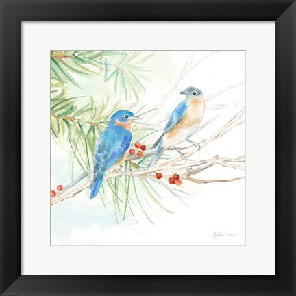 Framed Winter Birds III Bluebirds Print