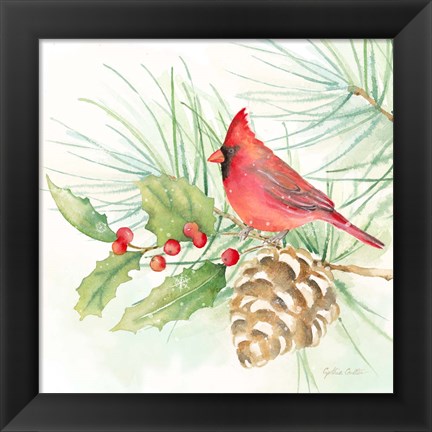 Framed Winter Birds IV Cardinal Print