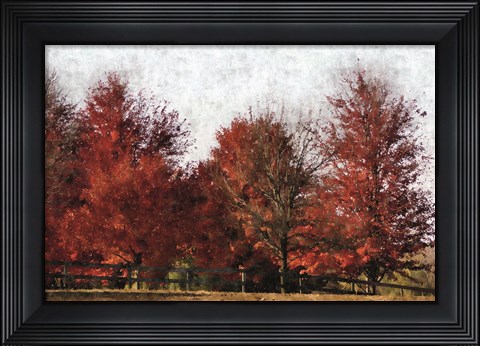 Framed Fall Reds Print