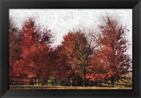 Framed Fall Reds Print