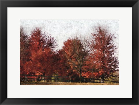 Framed Fall Reds Print