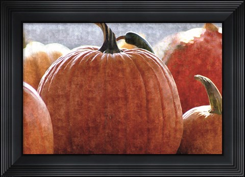 Framed Fall Pumpkin Print