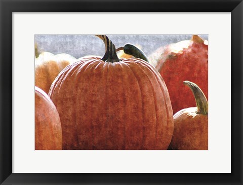 Framed Fall Pumpkin Print