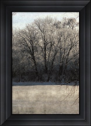 Framed Ice Mist Print