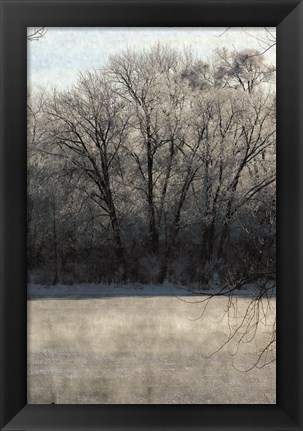 Framed Ice Mist Print