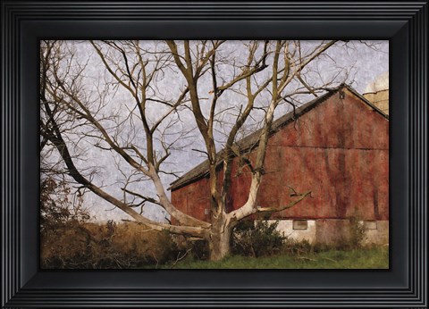Framed Old Barn Print