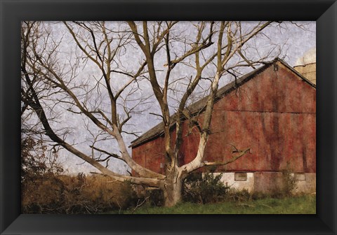 Framed Old Barn Print