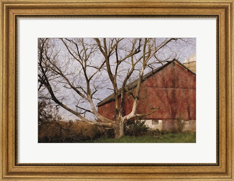 Framed Old Barn Print