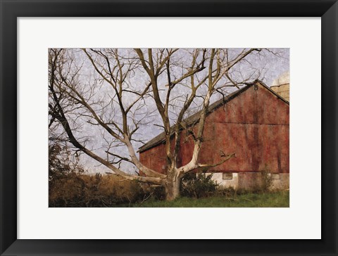 Framed Old Barn Print