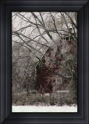 Framed Sheltered Print