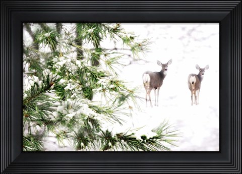 Framed Winter&#39;s Dream Print