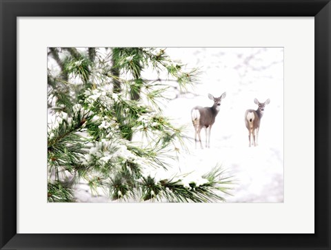 Framed Winter&#39;s Dream Print