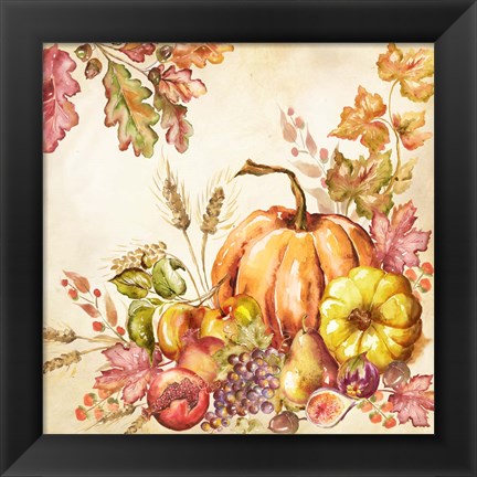 Framed Watercolor Harvest Pumpkins II Print