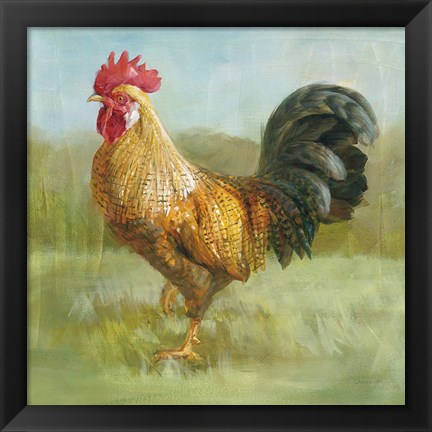 Framed Noble Rooster II Print