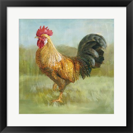 Framed Noble Rooster II Print