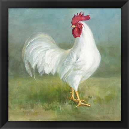 Framed Noble Rooster I Print