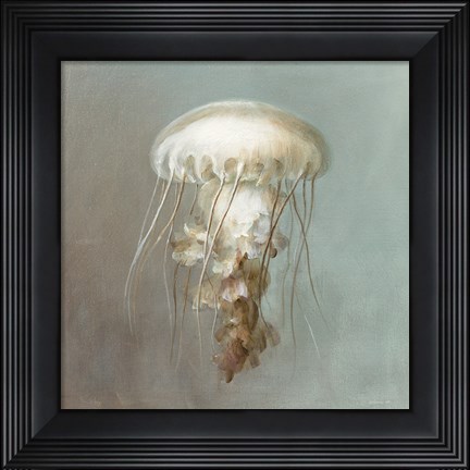 Framed Treasures from the Sea VI Print
