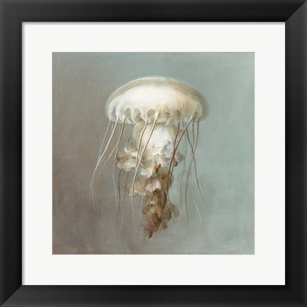 Framed Treasures from the Sea VI Print