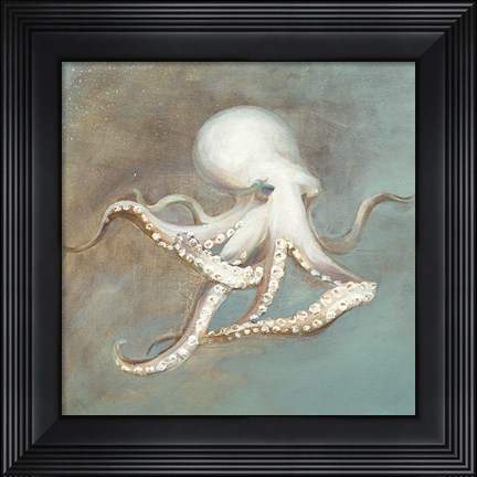 Framed Treasures from the Sea V Print