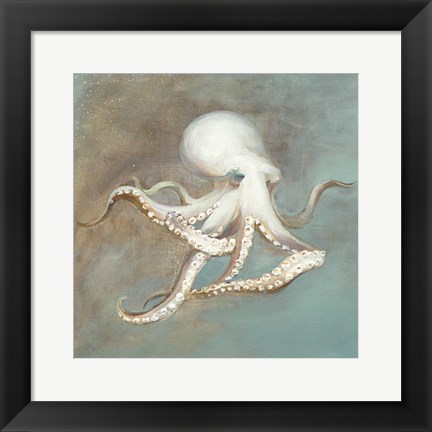 Framed Treasures from the Sea V Print