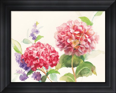 Framed Watercolor Hydrangea Print