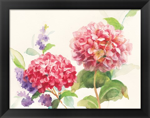 Framed Watercolor Hydrangea Print