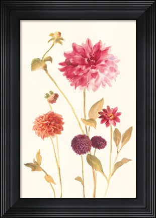 Framed Watercolor Flowers V Print