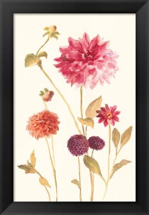 Framed Watercolor Flowers V Print