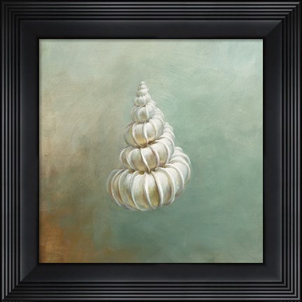 Framed Treasures from the Sea II Print