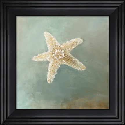 Framed Treasures from the Sea III Print