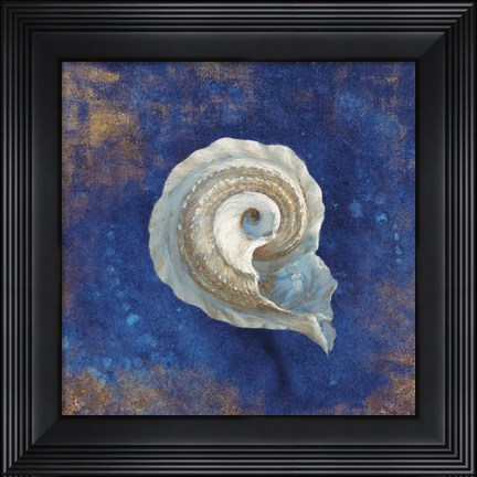 Framed Treasures from the Sea Indigo III Print