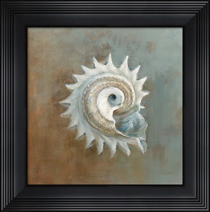 Framed Treasures from the Sea III Print