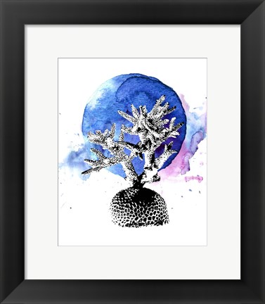 Framed Coral with Blue Splash Print