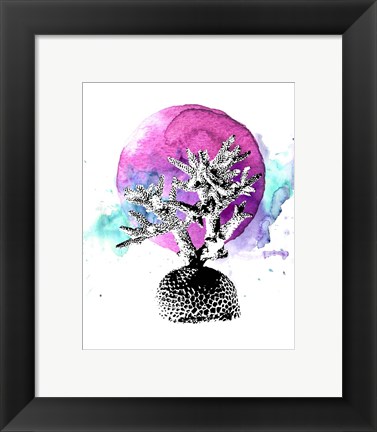 Framed Coral with Pink Splash Print