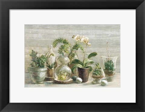 Framed Greenhouse Orchids on Wood v2 Print