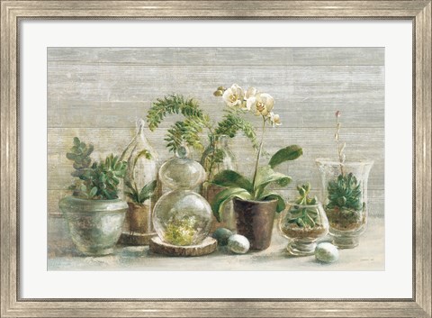 Framed Greenhouse Orchids on Wood v2 Print