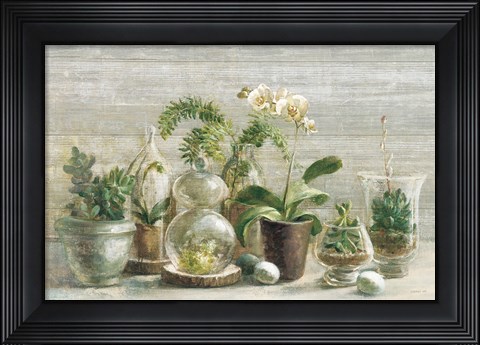 Framed Greenhouse Orchids on Wood v2 Print