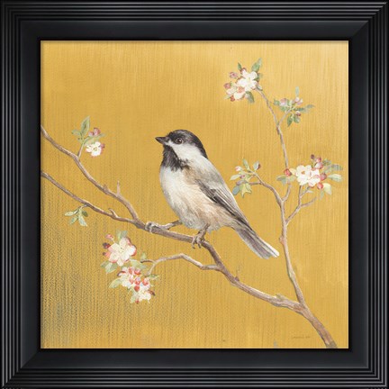 Framed Black Capped Chickadee on Gold Print