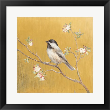 Framed Black Capped Chickadee on Gold Print