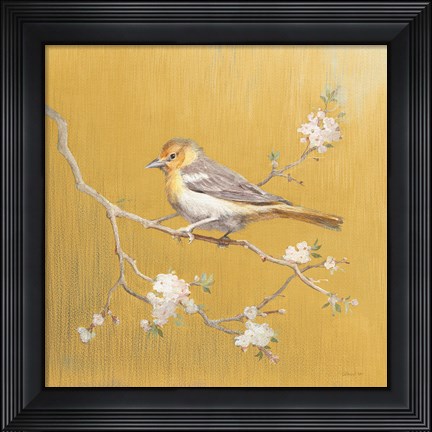Framed Northern Oriole on Gold Print