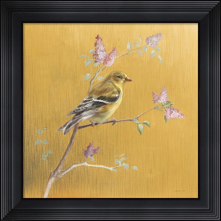 Framed Female Goldfinch on Gold Print