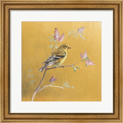Framed Female Goldfinch on Gold Print