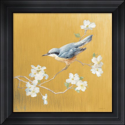 Framed Nuthatch on Gold Print