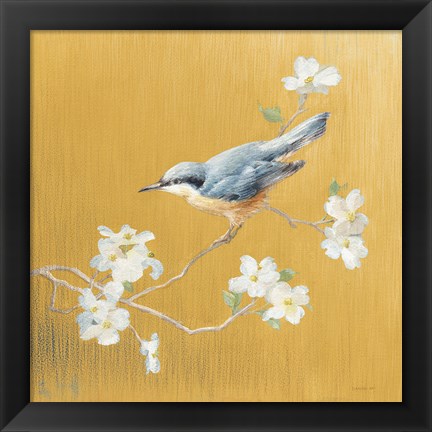 Framed Nuthatch on Gold Print