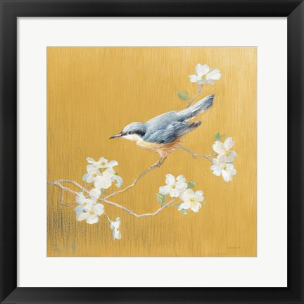 Framed Nuthatch on Gold Print