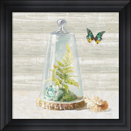 Framed Succulent Garden IV Print